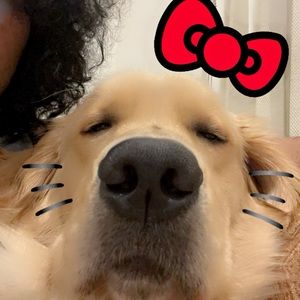 Meet your Posher, Alex